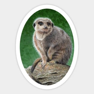 Meerkat Sticker